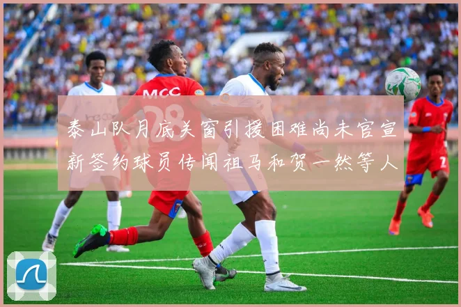 泰山队月底关窗引援困难尚未官宣新签约球员传闻祖马和贺一然等人
